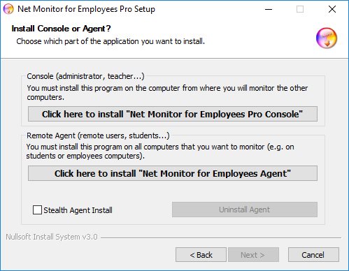Install employee monitoring software
