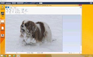 कर्मचारी पर जासूसी